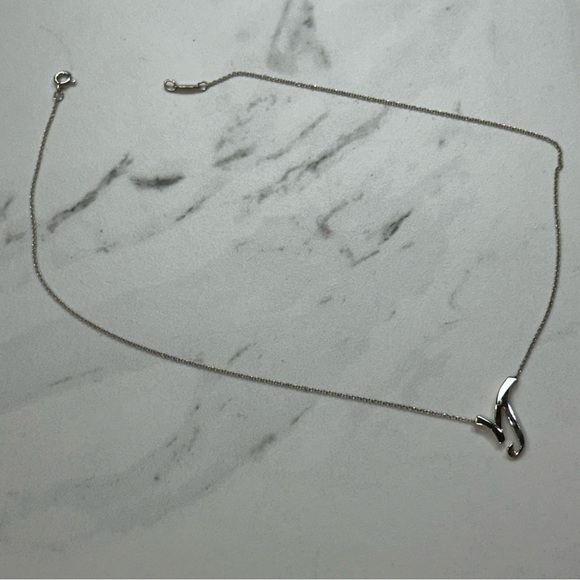 Tiffany & Co x Paloma Picasso Capricorn Necklace Pendant Combo - Picture 3 of 13